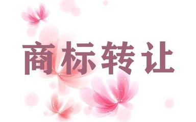 上海商標(biāo)與版權(quán)代理全攻略 保護(hù)創(chuàng)意從注冊(cè)開(kāi)始